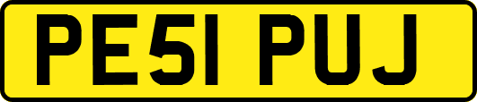 PE51PUJ