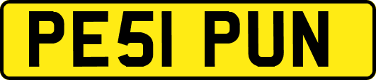 PE51PUN