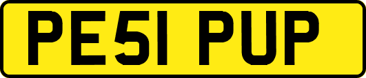 PE51PUP