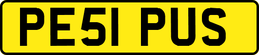 PE51PUS