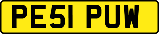PE51PUW