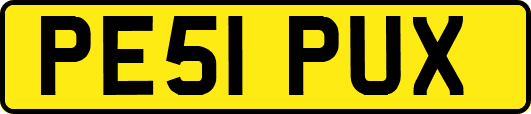 PE51PUX