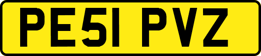 PE51PVZ