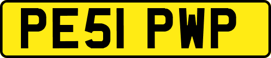PE51PWP