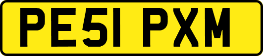 PE51PXM