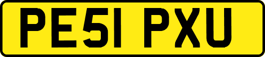 PE51PXU