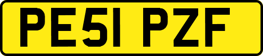 PE51PZF