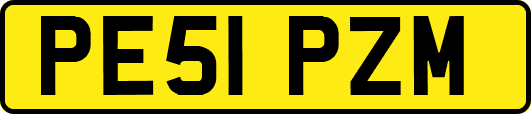 PE51PZM
