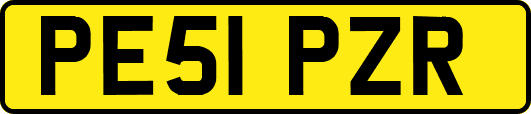 PE51PZR