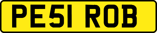 PE51ROB