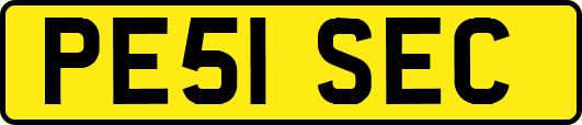 PE51SEC