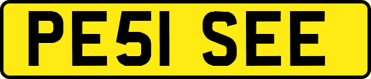PE51SEE