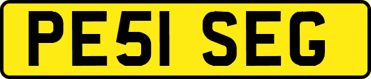 PE51SEG