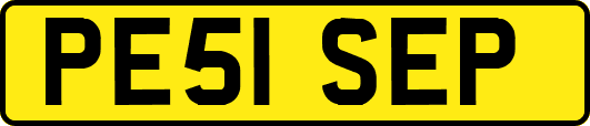 PE51SEP