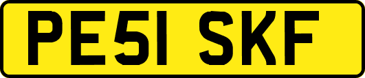 PE51SKF