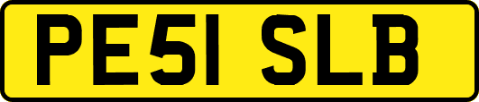 PE51SLB
