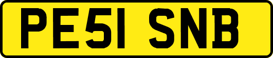 PE51SNB