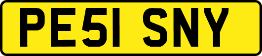 PE51SNY