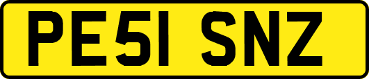 PE51SNZ