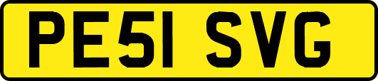 PE51SVG