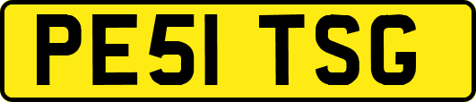 PE51TSG
