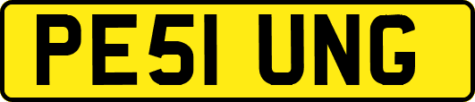 PE51UNG