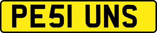 PE51UNS