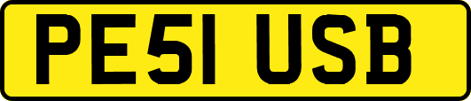 PE51USB