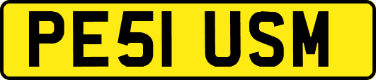 PE51USM