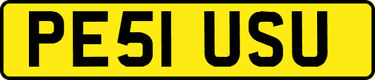 PE51USU