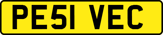 PE51VEC