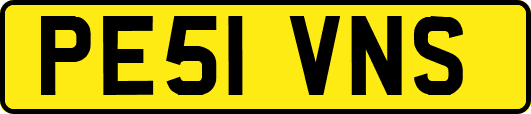 PE51VNS