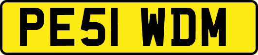 PE51WDM