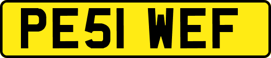 PE51WEF