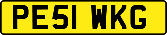 PE51WKG