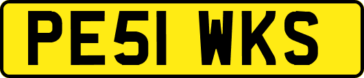 PE51WKS