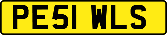 PE51WLS