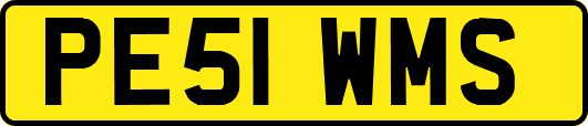 PE51WMS