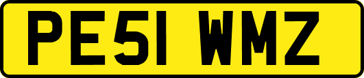 PE51WMZ