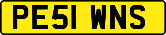 PE51WNS