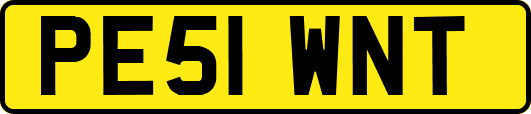 PE51WNT