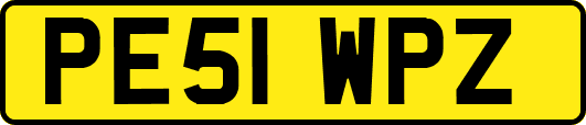 PE51WPZ