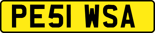 PE51WSA