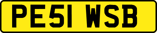 PE51WSB
