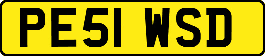 PE51WSD