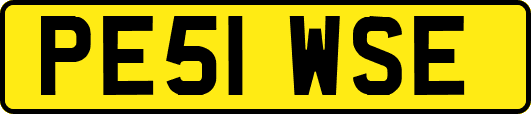 PE51WSE