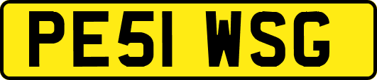 PE51WSG