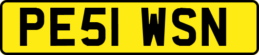 PE51WSN