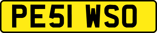 PE51WSO