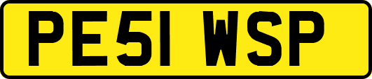PE51WSP